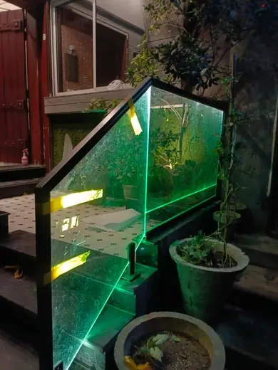 LED backlit glass railing night view